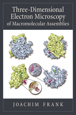 Three-Dimensional Electron Microscopy of Macromolecular Assemblies