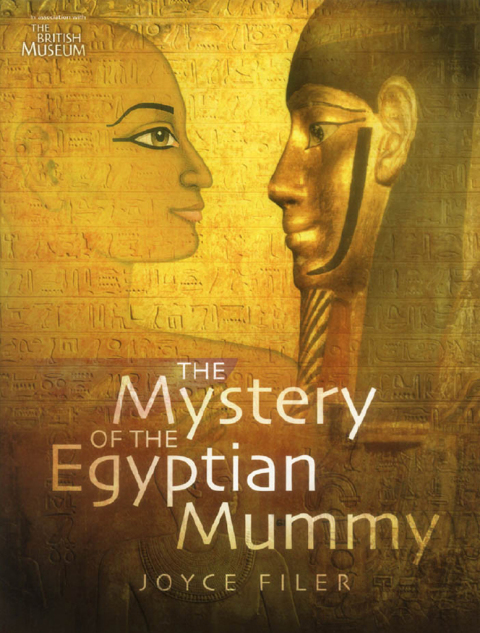 Cover image for book The Mystery of the Egyptian Mummy