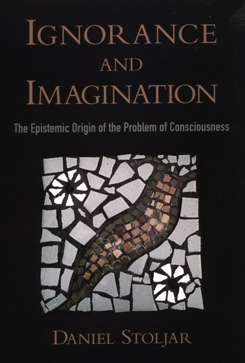 Cover image for book Ignorance and Imagination
