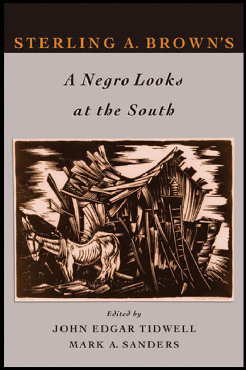 Cover image for book Sterling A. Brown's A Negro Looks at the South