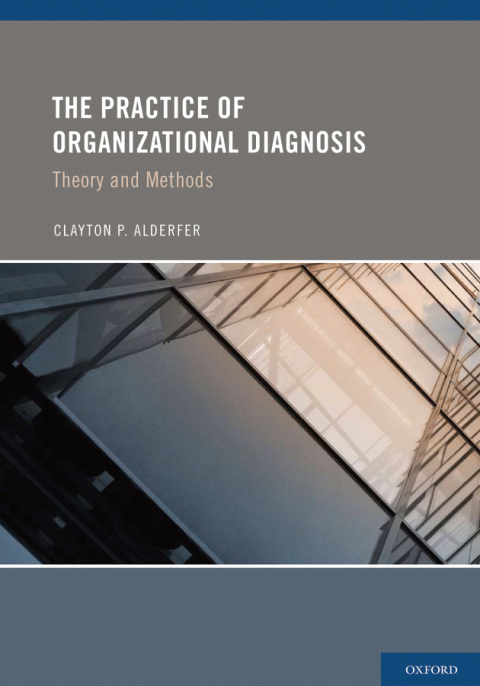 Cover image for book The Practice of Organizational Diagnosis