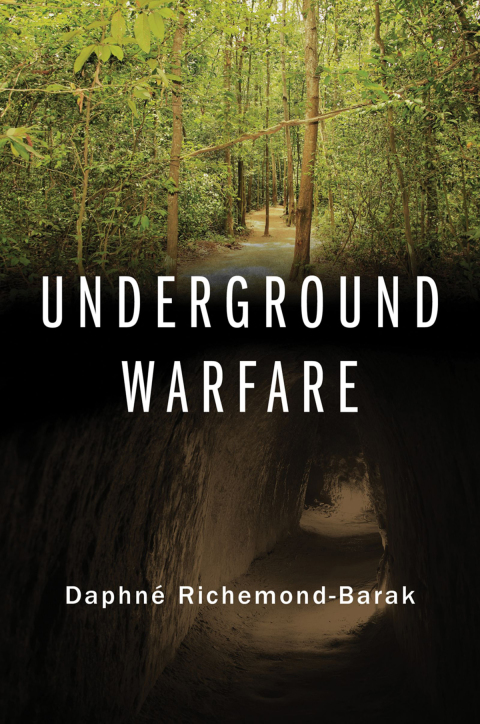 Cover image for book Underground Warfare