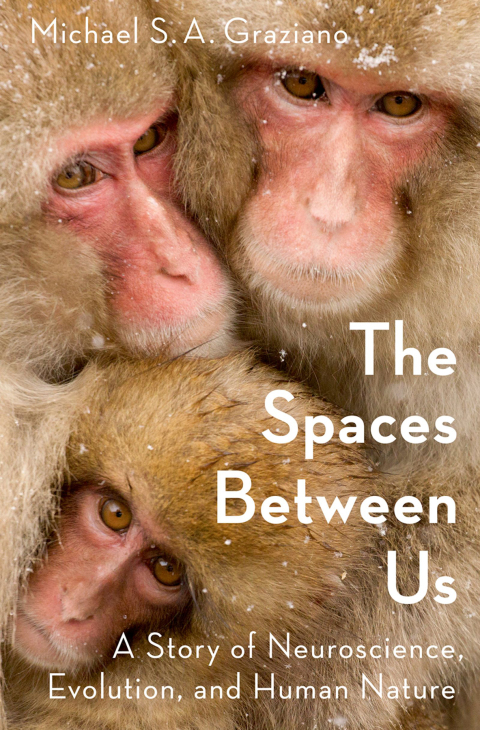 Cover image for book The Spaces Between Us
