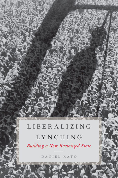 Cover image for book Liberalizing Lynching