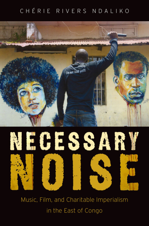 Cover image for book Necessary Noise