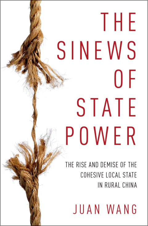 Cover image for book The Sinews of State Power