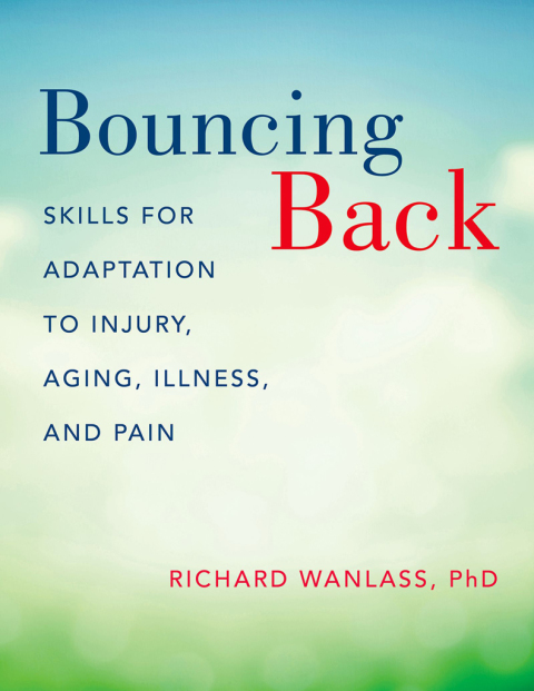 Cover image for book Bouncing Back