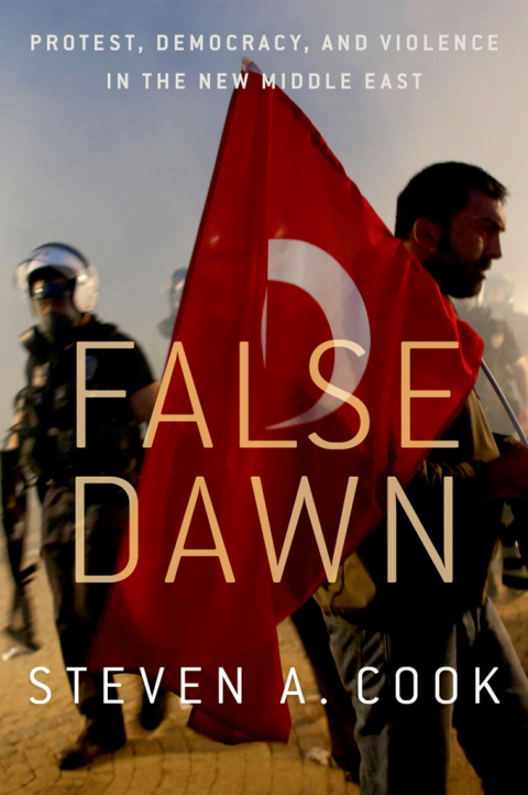 Cover image for book False Dawn