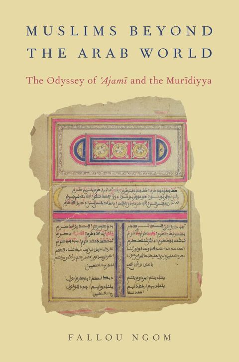 Cover image for book Muslims beyond the Arab World