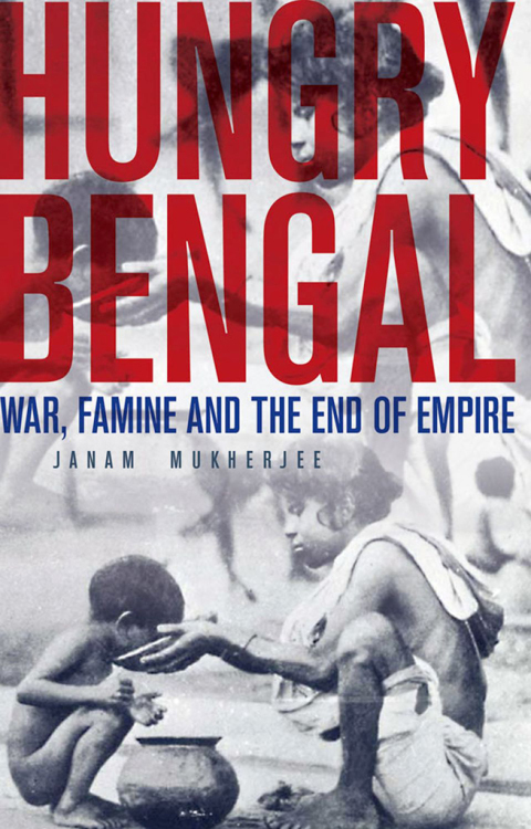 Cover image for book Hungry Bengal