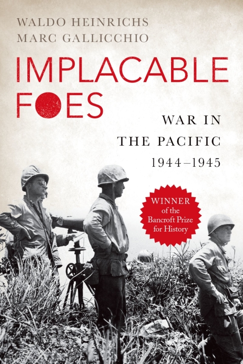 Cover image for book Implacable Foes