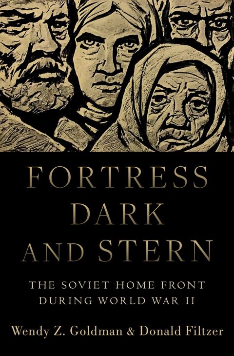 Cover image for book Fortress Dark and Stern