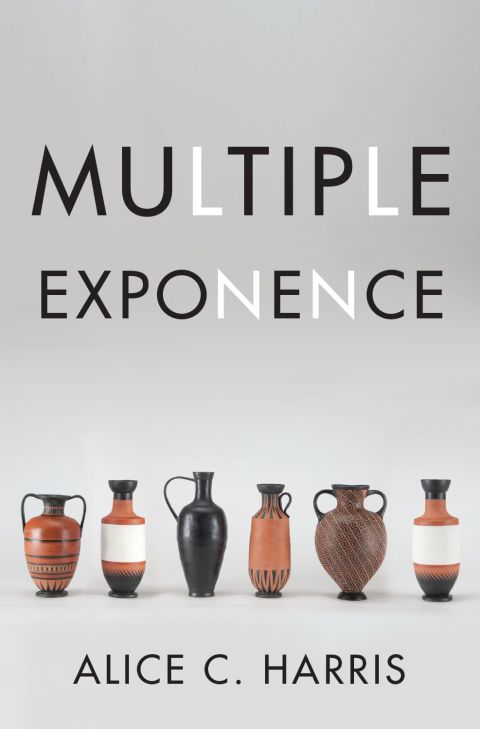 Cover image for book Multiple Exponence