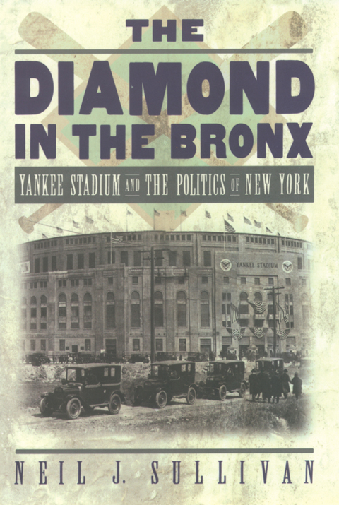 Cover image for book The Diamond in the Bronx