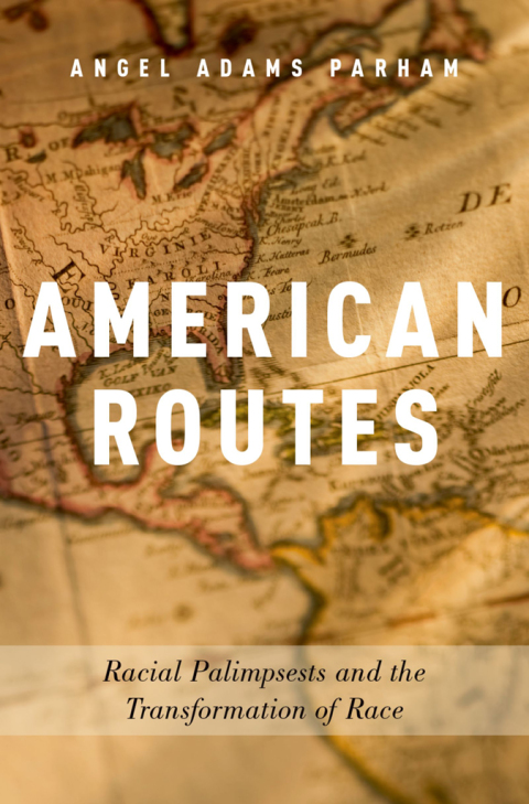 Cover image for book American Routes