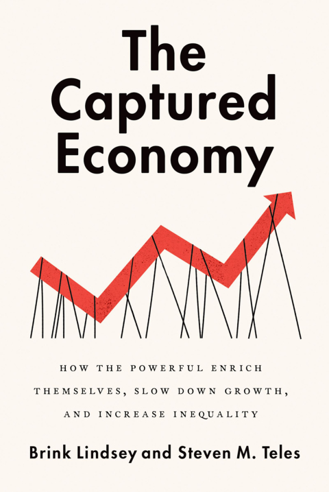 Cover image for book The Captured Economy