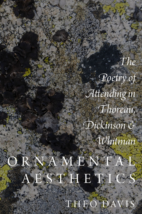 Cover image for book Ornamental Aesthetics