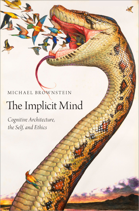 Cover image for book The Implicit Mind