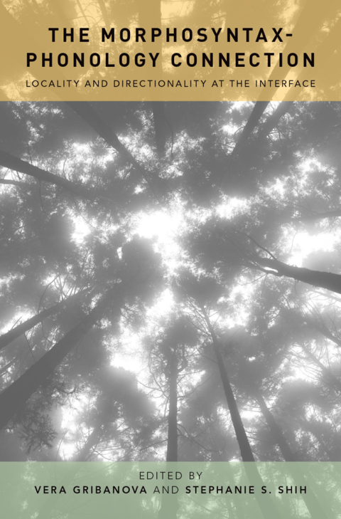 Cover image for book The Morphosyntax-Phonology Connection