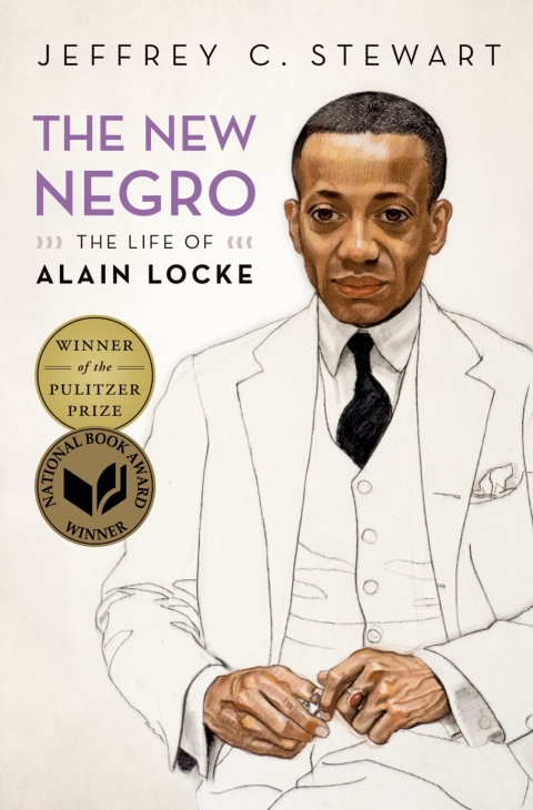 Cover image for book The New Negro