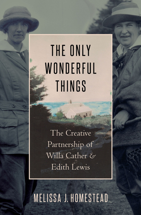 Cover image for book The Only Wonderful Things