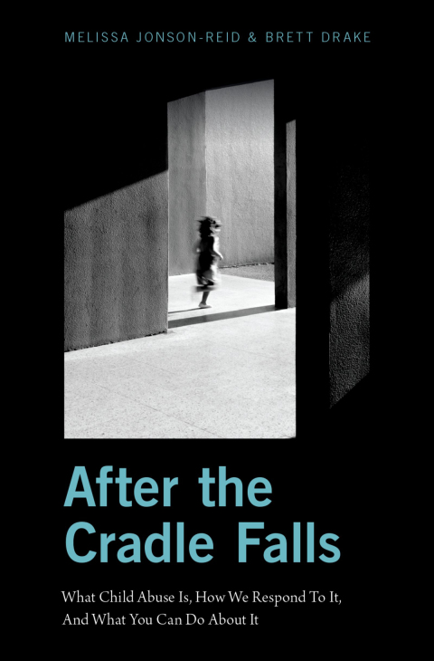 Cover image for book After the Cradle Falls