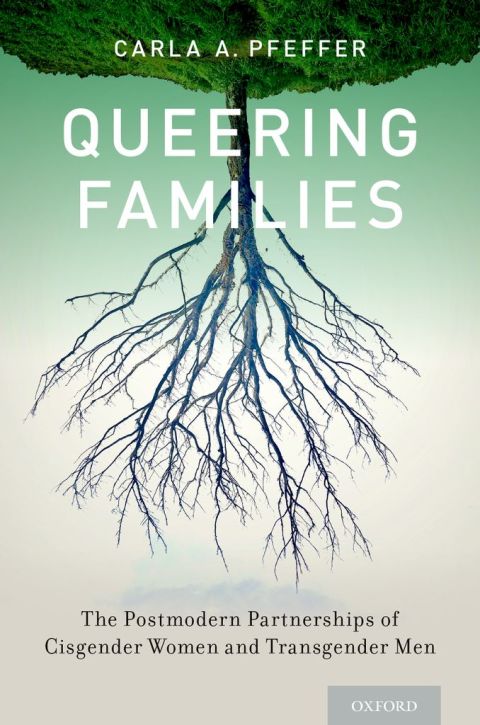 Cover image for book Queering Families