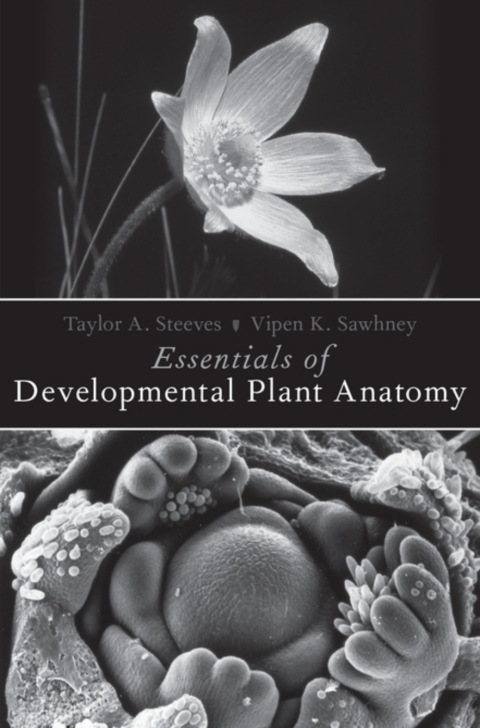 Cover image for book Essentials of Developmental Plant Anatomy