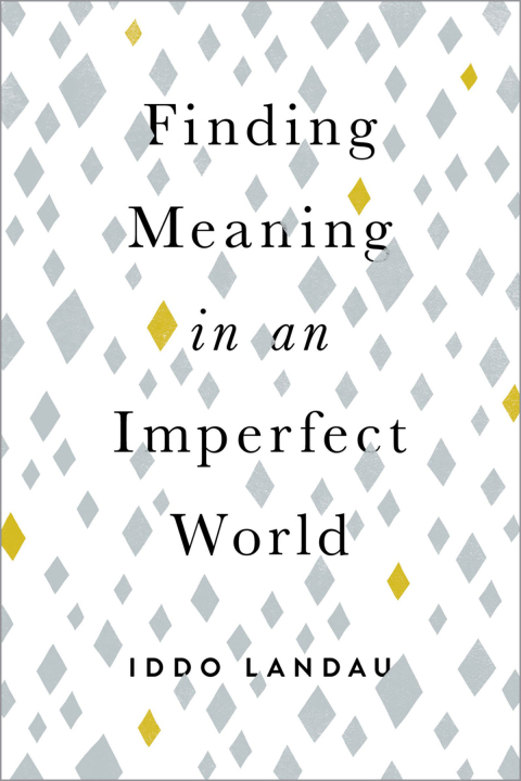 Cover image for book Finding Meaning in an Imperfect World