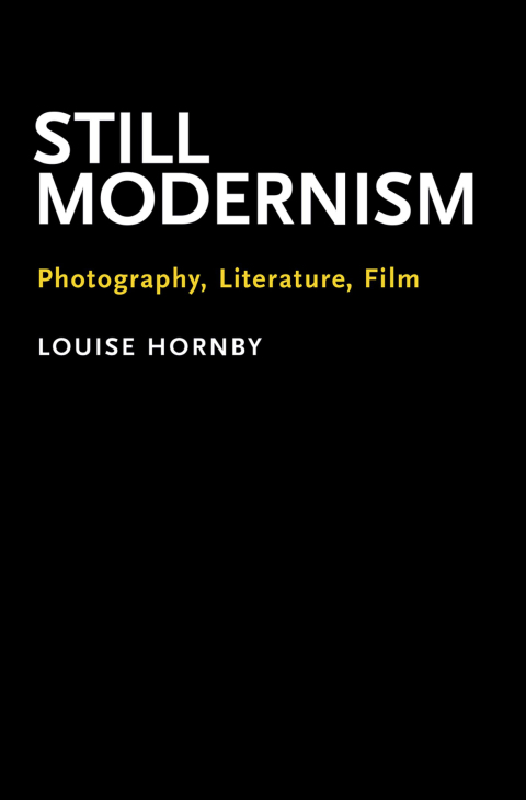 Cover image for book Still Modernism