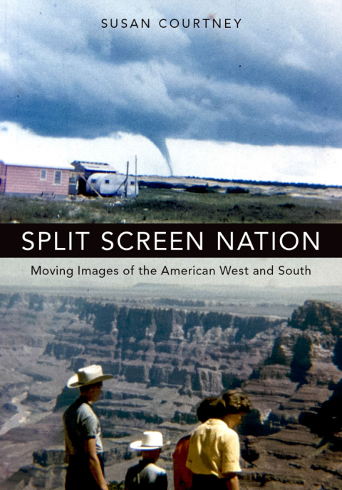 Cover image for book Split Screen Nation