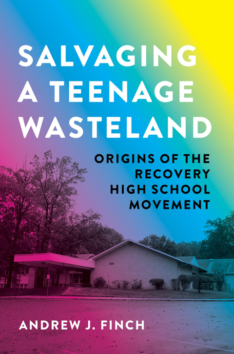 Cover image for book Salvaging a Teenage Wasteland