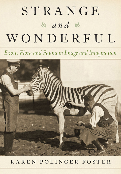Cover image for book Strange and Wonderful