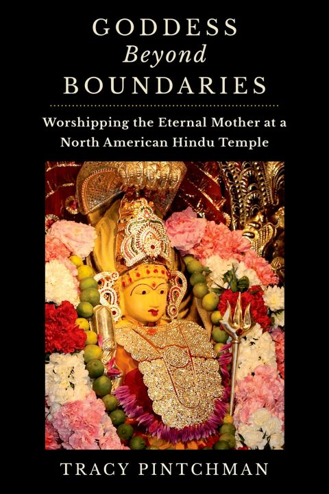 Cover image for book Goddess Beyond Boundaries