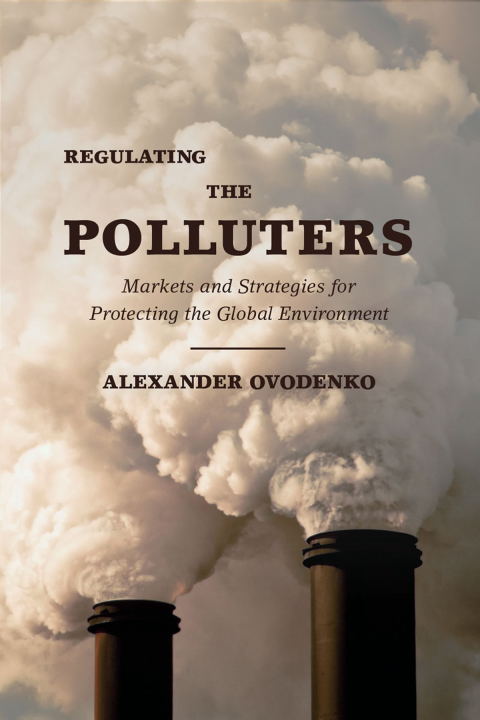 Cover image for book Regulating the Polluters