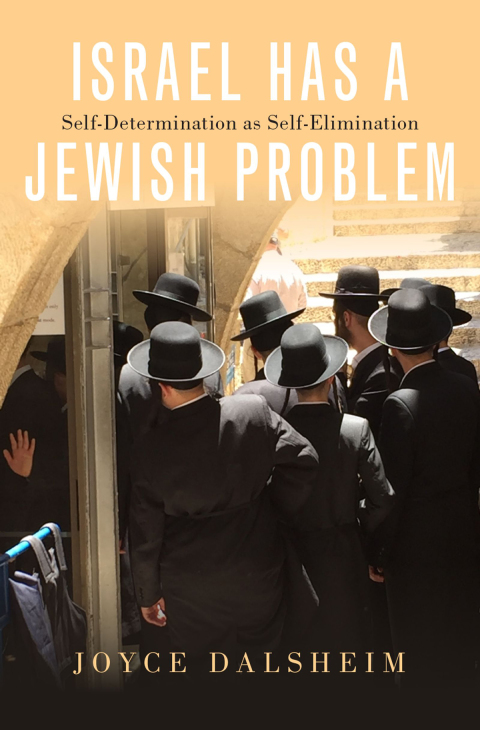 Cover image for book Israel Has a Jewish Problem