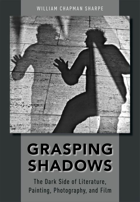 Cover image for book Grasping Shadows