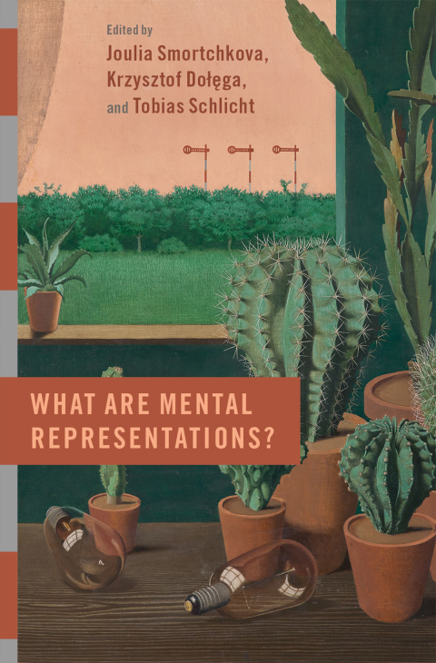 Cover image for book What are Mental Representations?