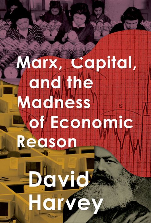 Cover image for book Marx, Capital, and the Madness of Economic Reason