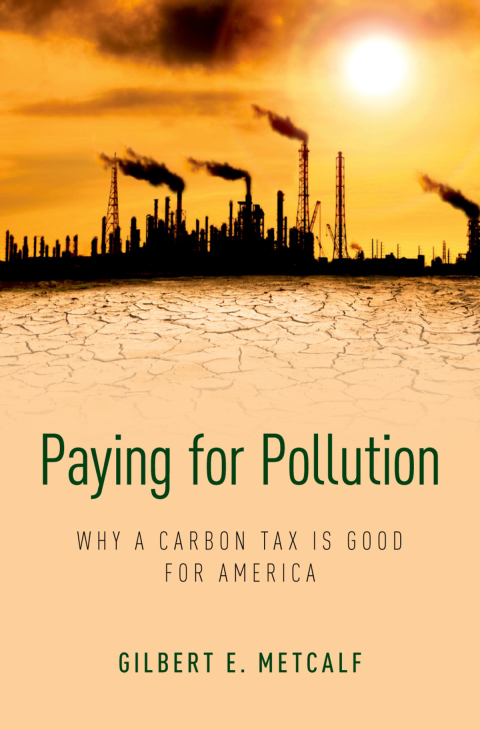 Cover image for book Paying for Pollution