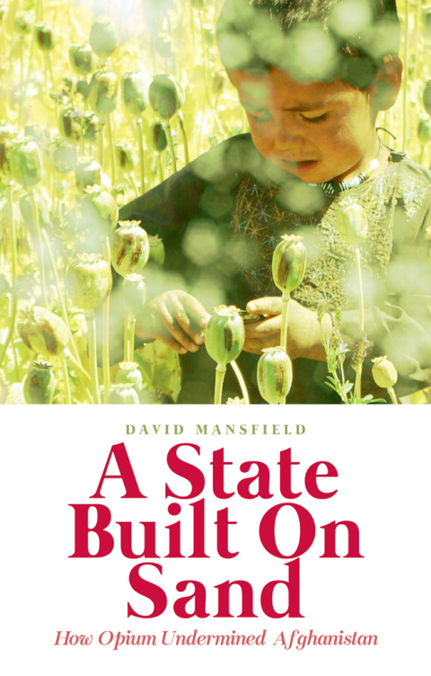 Cover image for book A State Built on Sand