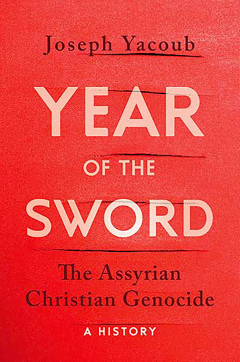 Cover image for book Year of the Sword