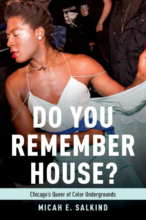 Cover image for book Do You Remember House?