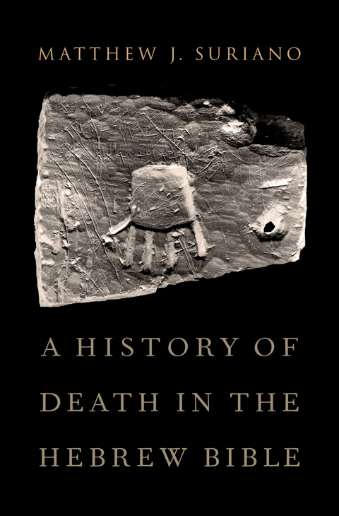Cover image for book A History of Death in the Hebrew Bible