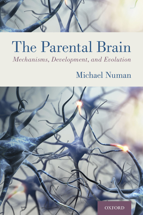Cover image for book The Parental Brain