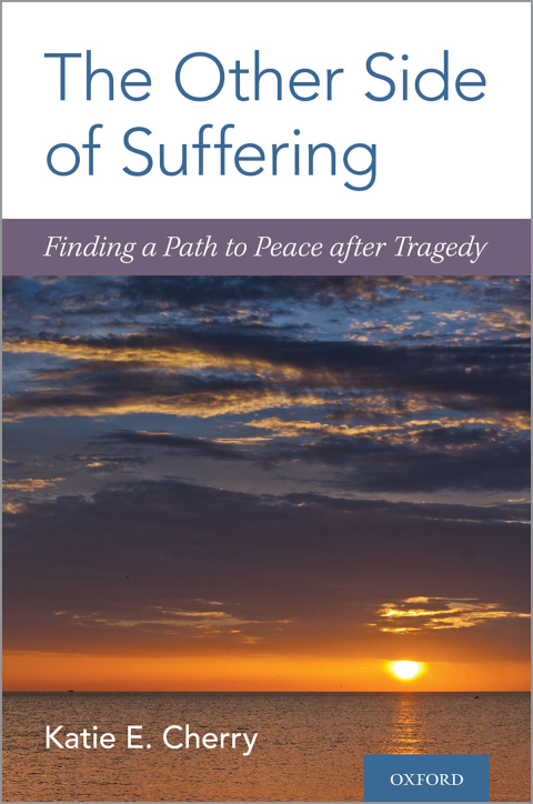 Cover image for book The Other Side of Suffering