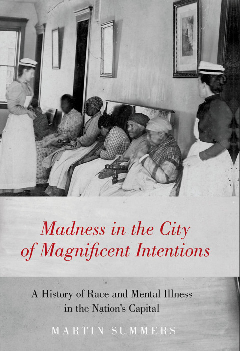Cover image for book Madness in the City of Magnificent Intentions