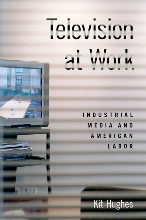 Cover image for book Television at Work