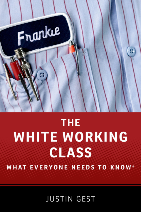 Cover image for book The White Working Class