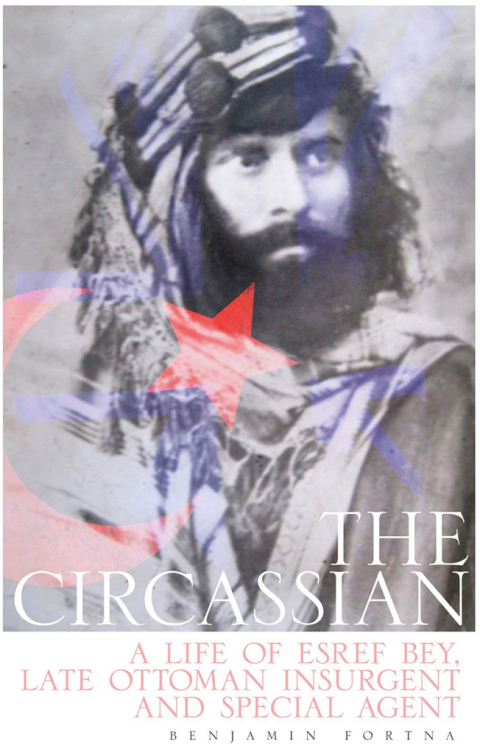 Cover image for book The Circassian